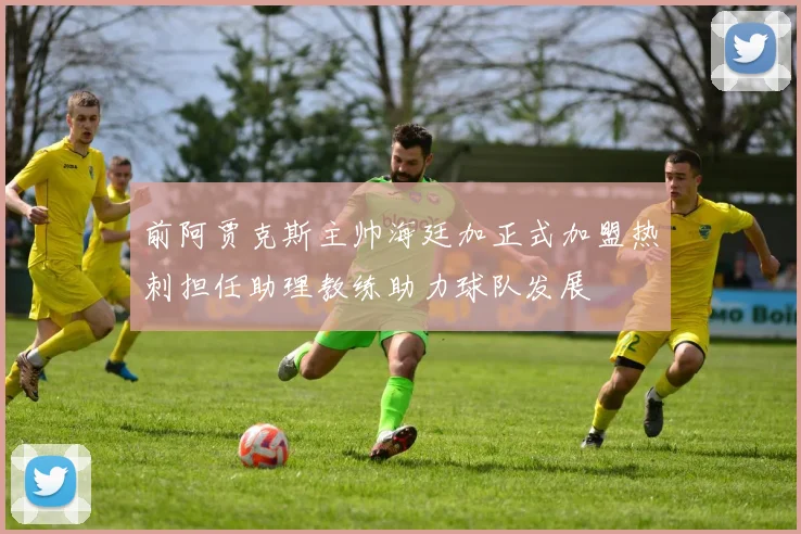 前阿贾克斯主帅海廷加正式加盟热刺担任助理教练助力球队发展
