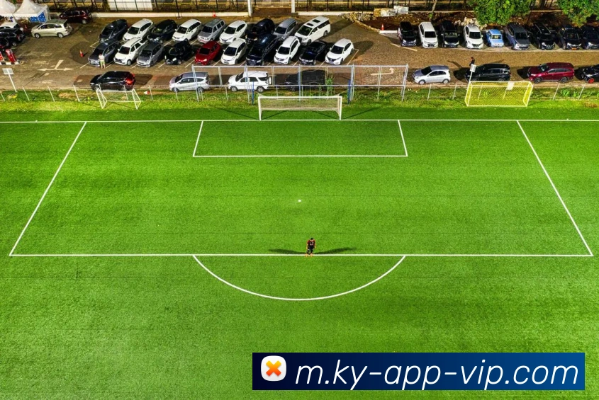 开云平台生态图